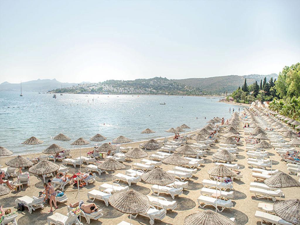 Ambrosia - Bodrum, Egejska regija - slika 5