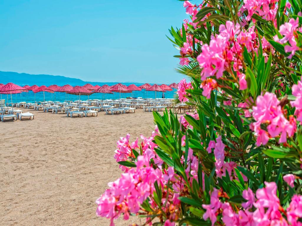 Bendis Beach Boutique Hotel - Bodrum, Egejska regija - slika 5