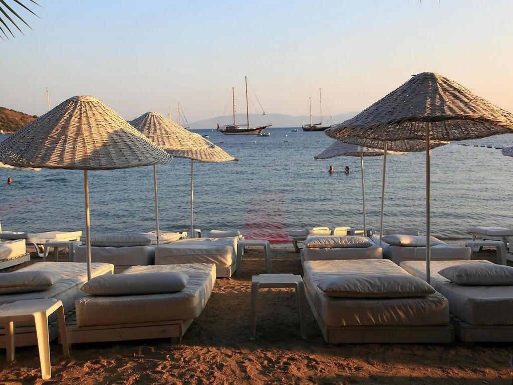 Okaliptus Hotel - Bodrum, Egejska regija - slika 5